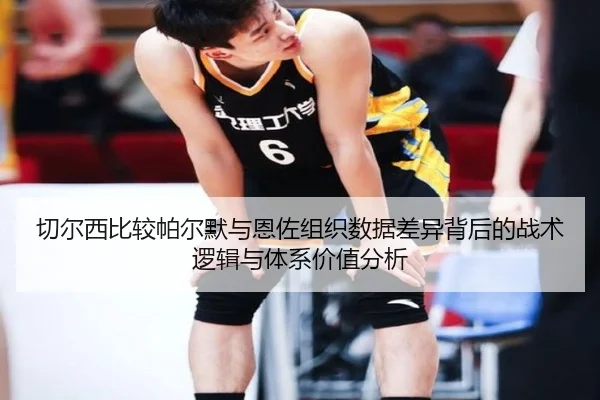 切尔西比较帕尔默与恩佐组织数据差异背后的战术逻辑与体系价值分析